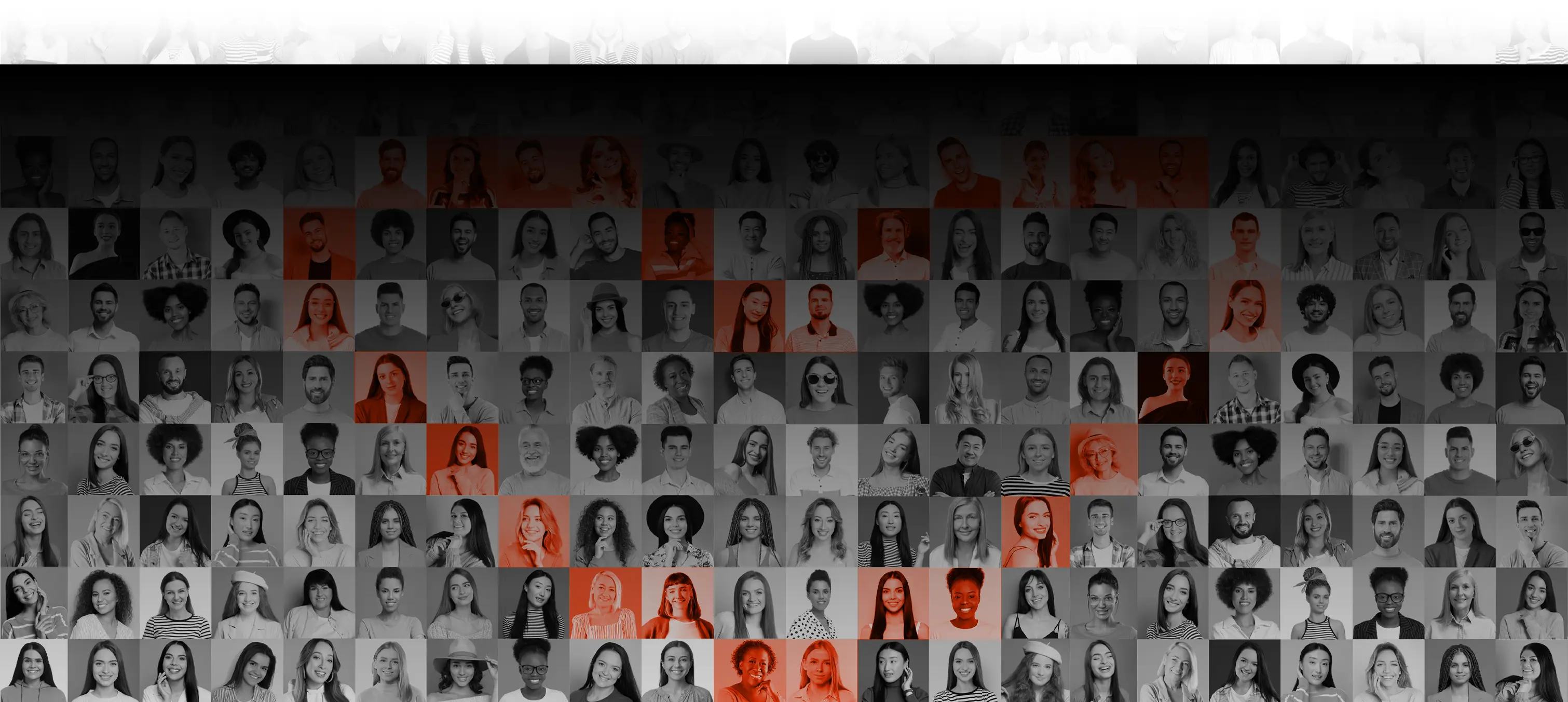 Website Banner Mymedicare Desktop